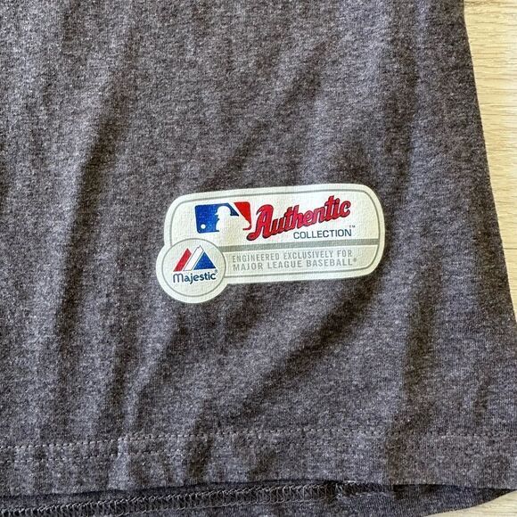 MLB Tampa Bay Rays Short Sleeve T-Shirt Charcoal Gray L EUC - Picture 3 of 4